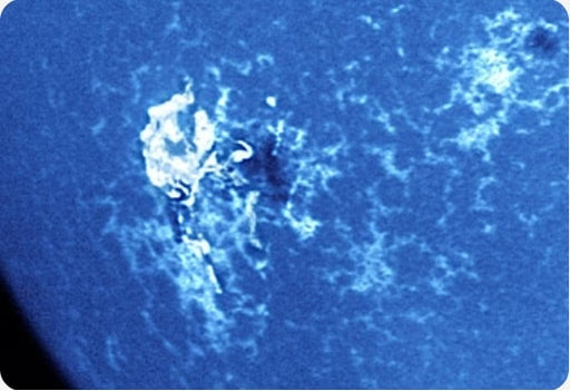 Image_No.2_Taken_Using_DayStar_Quantum_5_PE_Solar_Filter_Calcium_II_H-Line