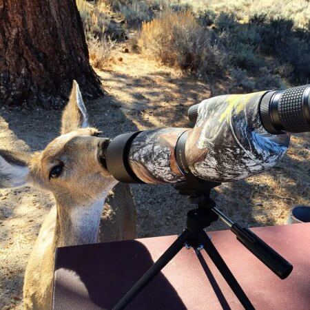 Barska 20-60x65mm WP Level Straight Mossy Oak Break-Up Camo Spotting Scope with Deer Outdoors