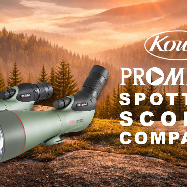 Kowa TSN Prominar Spotting Scopes Compared: TSN-55 vs TSN-66 vs TSN-88 vs TSN-99
