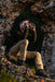 A Man Using the Kite Optics 22x50mm ED APC Stabilized Binoculars - Lifestyle Photo Outdoors