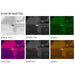 Alpen Apex LRF 50mm Mounted Thermal Riflescope - Six Thermal Imaging Color Palettes