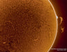 An Image Captured Using the Lunt LS50F Hydrogen-Alpha Front-Mounted Etalon System - SolarSurface and Prominence - B1200