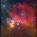 An Image Taken Using Vaonis Vespera II Telescope - X Limited Edition - Horsehead Nebula