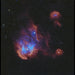 An Image Taken Using Vaonis Vespera II Telescope - X Limited Edition - Running Chicken
