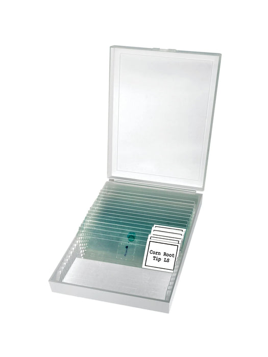 Bresser Erudit Basic Bino 40x-400x Microscope Slides