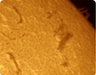 DayStar Quantum H-Alpha 0.3Å PE Solar Filter 0.3 Angstrom