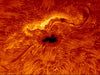 DayStar Quantum H-Alpha 0.5Å PE Solar Filter 0.5 Angstrom
