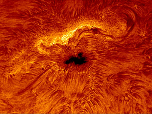 DayStar Quantum H-Alpha 0.5Å PE Solar Filter 0.5 Angstrom
