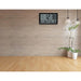 Explore Scientific Radio Controlled Wall Clock Indoors
