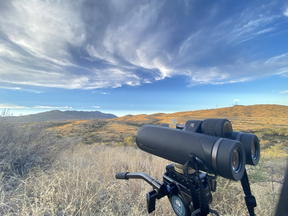 German Precision Optics GPO Passion HD 10x50mm Binoculars Outdoors