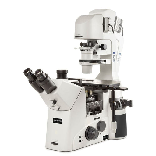 Globe Scientific Euromex Delphi-X Inverso Inverted Trinocular Microscope, WF10x/25mm Eyepiece, Sextuple Nosepiece with Plan Phase Fluarex - Model #EDI-1053-PLPHFI