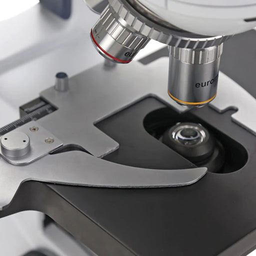 Globe Scientific Euromex bScope Trinocular Microscope, HWF 10x/20mm Eyepiece, Quintuple Nosepiece E-Plan plus Mini-Camera with 13-inch HD Screen - Model #EBS-1153-EPLI-HDS - Stage Detail