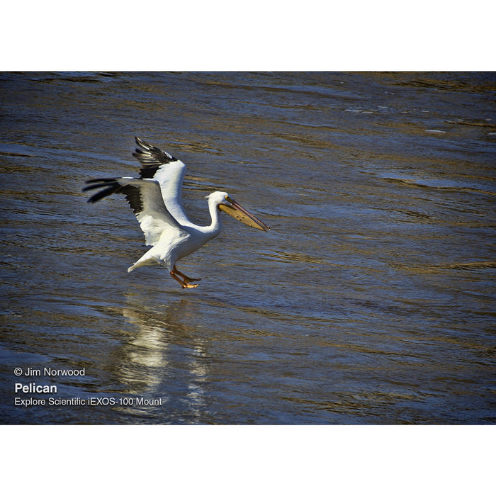 Image Captured Using Explore Scientific iEXOS-100 PMC-Eight GoTo Tracker System with WiFi and Bluetooth Pelican