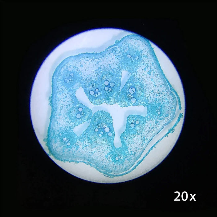 Image No.1 Taken Using Barska 20x, 40x Stereo Binocular Microscope