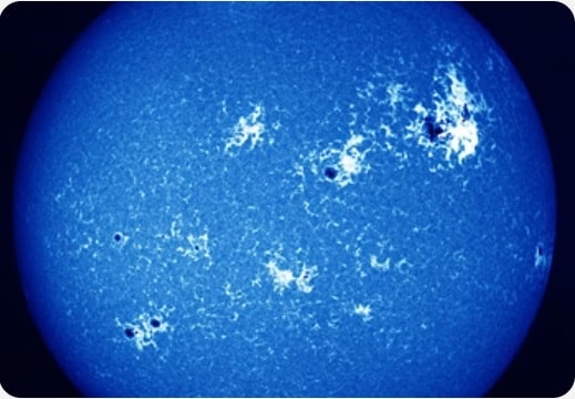 Image_No.1_Taken_Using_DayStar_Quantum_5_PE_Solar_Filter_Calcium_II_H-Line Sun