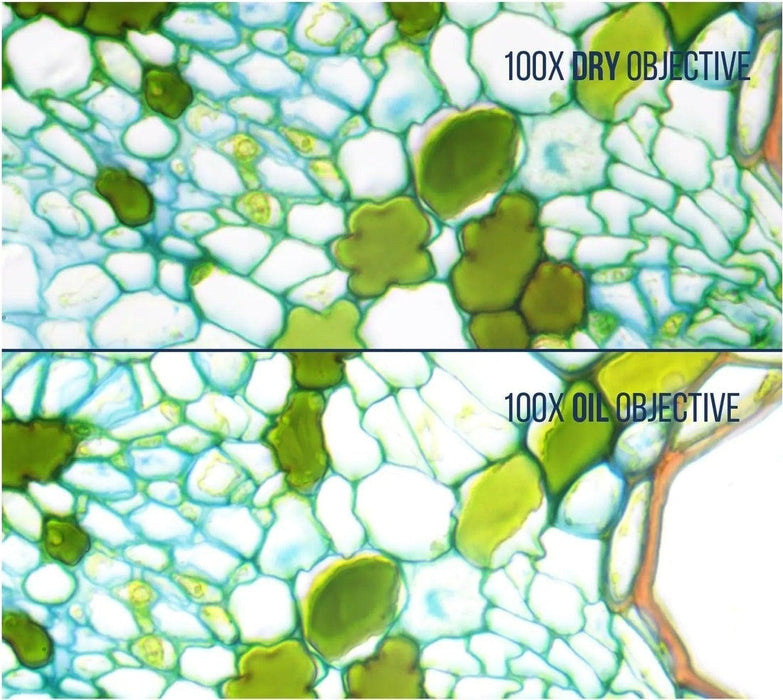 Image No.2 Comparison Using LW Scientific 100x Infinity Plan DRY Objective Over Oil Objective