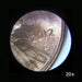 Image No.2 Taken Using Barska 20x, 40x Stereo Binocular Microscope