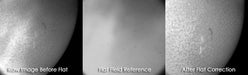 Images Taken Using the Daystar Filters  FlatCap Imaging Diffuser Attached to a Telescope