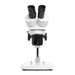 LW Scientific DM Dual Mag Stereoscope Series - Pole Stand Model