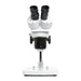 LW Scientific DM Dual Mag Stereoscope on Pole Stand - Front View Profile