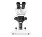 LW Scientific DM on Dual LED Stereoscope