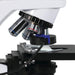 LW Scientific SoiLite Ring Light Illuminator - i4 Attached to Microscope