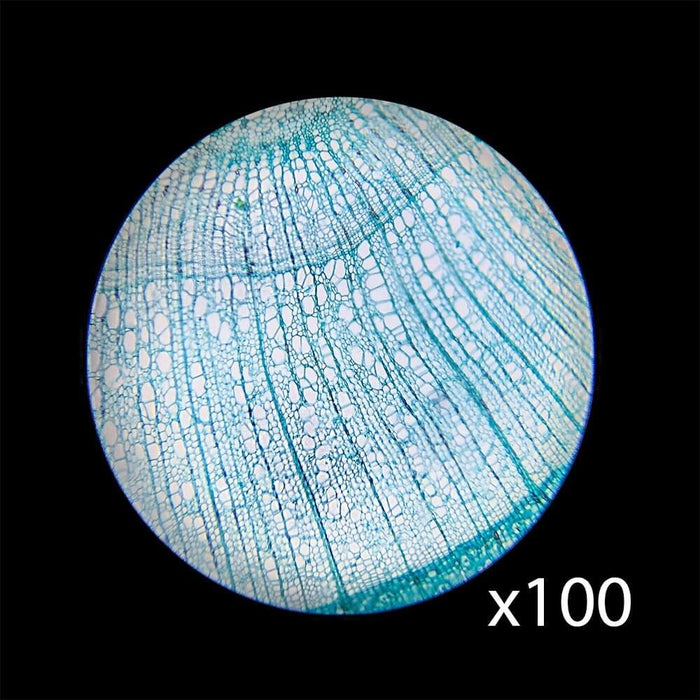 Barska 40x, 100x, 400x Monocular Compound Microscope