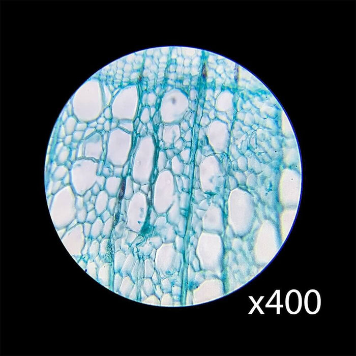 Barska 40x, 100x, 400x Monocular Compound Microscope