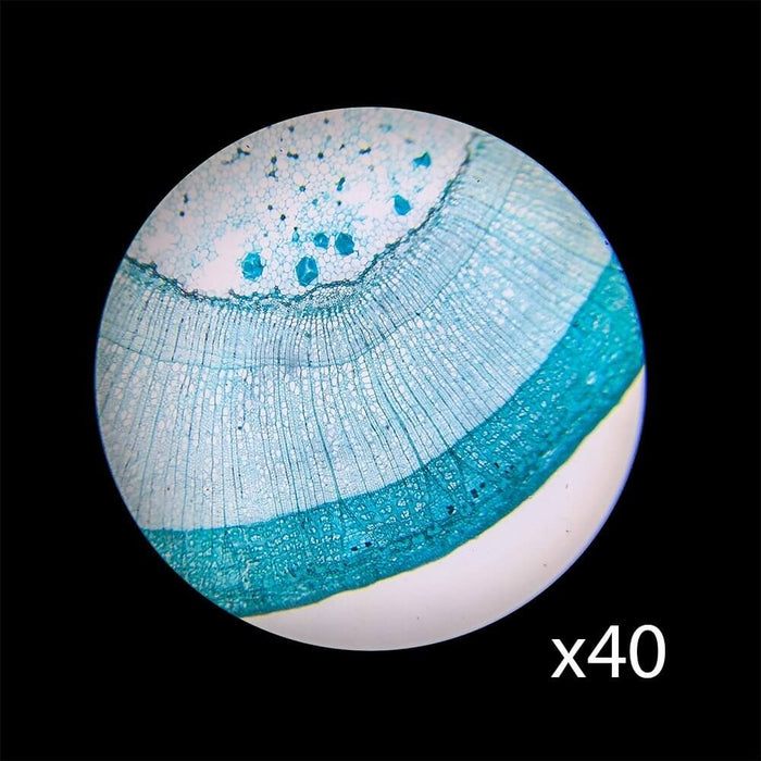 Barska 40x, 100x, 400x Monocular Compound Microscope